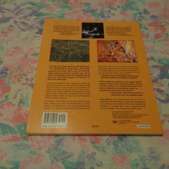 FRACTALS THE PATTERNS OF CHAOS BY JOHN BRIGGS 1992 - Picture 9 of 15